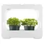 Xavax Growing Station / Pěstební stanice / LED lampa full-spectrum / 3 × o 10 cm / 16h/8h cyklus