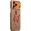 Pitaka Edge Case Ink Horse Gold & Jade / Ochranný kryt / Apple iPhone 17 Pro / MagSafe / aramid / PitaTap
