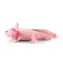 RAPPA Plyšový axolotl 34 cm / ECO-FRIENDLY / od 0 měsíců