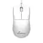 MediaRange MROS255 bílá / Optická myš / 1000 DPI / USB / 3 tlačítka / 1,5 m