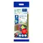Staedtler Noris Colour / Pastelky / sada 12 ks / šestihranné / dřevěné / pouzdro + guma