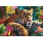 CHERRY PAZZI Puzzle Ležící leopard / 500 dílků / 50 x 34,5 cm