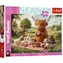 TREFL Puzzle Sladký piknik / 300 dílků / 60 x 40 cm
