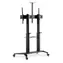 Digitus TV Cart černý / Stojan na kolečkách pro TV / 70-120" / nosnost 140 kg