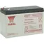 YUASA NPW45-12 / Baterie / 12V / 9Ah / AGM / faston F2