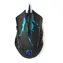 Nedis GMWD210BK černá / Herní myš / Drátová / 3600 DPI / 6 tlačítek / USB