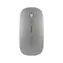 Devia Lingo Series stříbrná / Bezdrátová myš / Dual Mode 2.4G + Wireless