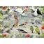 GIBSONS Puzzle RSPB: Šťastní ptáčci / 1000 dílků