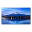 43" NEC P436 černá / Velkoformátový displej / UHD 4K / IPS / 700 cd/m2 / 24/7 / 3x HDMI / RJ45