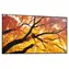 43" NEC M432 černá / Velkoformátový displej / UHD 4K / IPS / 24/7 provoz / HDMI + DP
