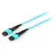 Equip optický patch kabel MTP-MTP 15 m azurová / Patch kabel / OM4 Multimode 50/125 µm / Konektor MTP-MTP