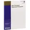 Epson DS Transfer General Purpose / Transferový papír / A3
