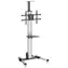 StarTech TV stojan pro 32-75" obrazovky / Mobilní TV stojan / Nosnost 40 kg / VESA do 600x400 / Náklon -12° až 5°