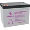 Conexpro GEL-12-75 / Baterie / GEL / 12V/75Ah / Deep Cycle / T14-M6