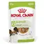 Royal Canin Adult Xsmall 12x85 g / Kapsičky pro psy