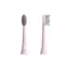 Tesla Smart Toothbrush TS200 Brush Heads růžová / náhradní hlavice / 2 ks