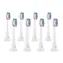 TrueLife SonicBrush Clean-series heads Sensitive white 8 pack / náhradní hlavice 8 ks