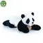RAPPA Plyšová panda ležící 18 cm / ECO-FRIENDLY / od 0 měsíců
