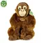 RAPPA Plyšový orangutan 27 cm / ECO-FRIENDLY / od 0 měsíců