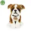 RAPPA Plyšový pes boxer 27 cm / ECO-FRIENDLY / od 0 měsíců