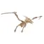 Woodcraft Dřevěné 3D puzzle Pterosaur / 23 dílků / od 8 let / Obtížnost: jednoduchá
