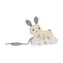 Bigjigs Toys Tahací zajíček s mládětem / od 12 měsíců