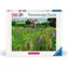 Ravensburger Skandinávie: Farma ve Švédsku / 500 dílků / od 12 let