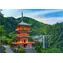 Castorland 53773 Chrám Seiganto-ji, Japonsko / 500 dílků / od 9 let