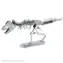 Metal Earth 3D T-Rex Skeleton / Počet dílků: 37 / od 14 let