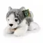 RAPPA Plyšový pes husky ležící 20 cm / ECO-FRIENDLY / od 0 let
