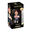 MINIX Football Icon: Maradona - CENTURY GOAL