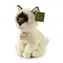 RAPPA Plyšová kočka Ragdoll (Soft Collection) 23 cm / ECO-FRIENDLY / od 0 měsíců
