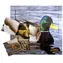 Just Jigsaws 603 Kačer a jeho životní cyklus - dřevěné vrstvené puzzle / 19 dílů / od 3 let