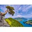 Castorland 105311-2 Puzzle Pohled na jezero Uri, Švýcarsko / 1000 dílků / od 9 let