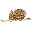 WOODEN CITY 3D Dřevěné puzzle Dream Express s kolejemi / 220 dílků / od 14 let