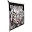 ELITE SCREENS plátno roleta 120" (4:3) bílá / 182.9 x 243.8 cm / zisk 1.1