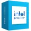Intel 300 @ 3.9 GHz / 2C4T / L3 6MB / Intel UHD 710 / LGA 1700 / Raptor Lake / 46W