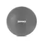 ZIPRO Gymnastic Ball Anti-Burst 65 cm šedá / Gymnastický míč