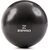 ZIPRO PVC Fitness Miniball 20 cm