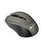 CANYON CNE-CMSW1G / optická bezdrátová / 800/1000/1200 dpi / USB / šedá