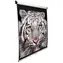 ELITE SCREENS plátno roleta 100" (16:9) bílá / 124.5 x 221 cm / zisk 1.1