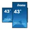 43" IIYAMA ProLite LH4365UHSB-B1 / IPS / 3840 x 2160 / 16:9 / 8 ms / 350 cd / 1200:1 / DP+HDMI / USB