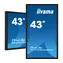 43" IIYAMA ProLite TF4339AS-B1AG / IPS / 3840 x 2160 / 16:9 / 8 ms / 435 cd / 1200:1 / DP+HDMI / USB