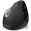 Evoluent Vertical Mouse4 Right Hand Mac / Ergonomická bezdrátová myš / Bluetooth / pouze pro praváky