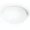 Philips Hue WACA Flourish stropní LED svítidlo 1x32.5W bílá / 2250lm / 2000-6500K / RGB / IP20