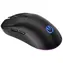 Endorfy GEM Plus Wireless černá / Bezdrátová myš / optická / 26000 dpi / 6 tlačítek / RGB / USB / 1.6m