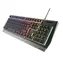Genesis Rhod 300 RGB černá / Podsvícená klávesnice / USB