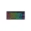 Razer BlackWidow V4 Low-profile Tenkeyless HyperSpeed Orange Switch černá / bezdrát. Herní klávesnice / mech. / US