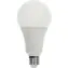 RETLUX RLL 662 A80 E27 bulb 20W / 2700 lm / 3000K - teplá bílá / D