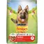 PURINA Friskies Active 10 kg / Granule / pro psy